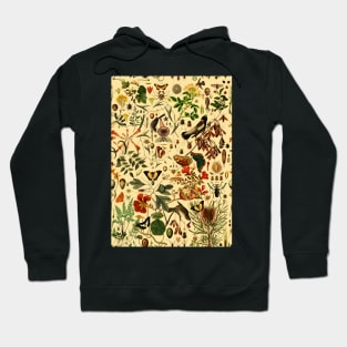 Biology 101 WARM Hoodie